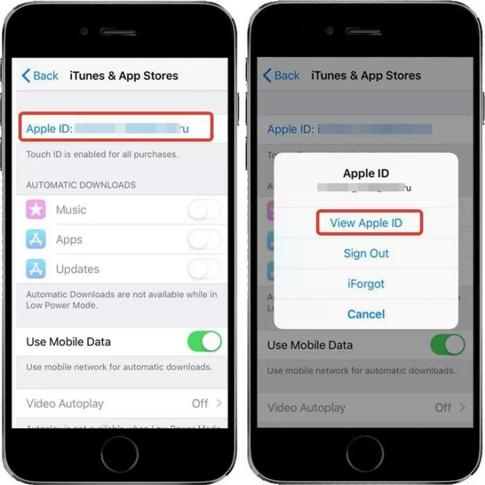 Appstore settings - 1xbet download for iPhone