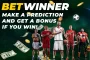 How to get the bonus at Betwinner - TOTO promotion