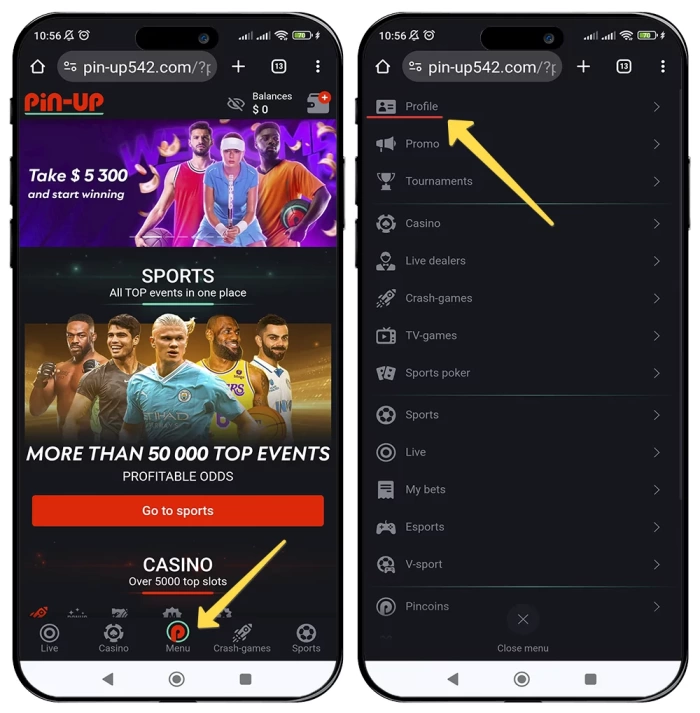 Pin up verification at personal cabinet How to fill all mandatory fiellds in Pin up profile