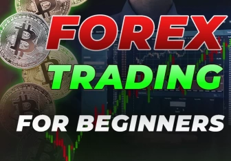 How to start trade forex for beginners at the firt time